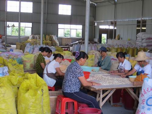 Factory Workshop